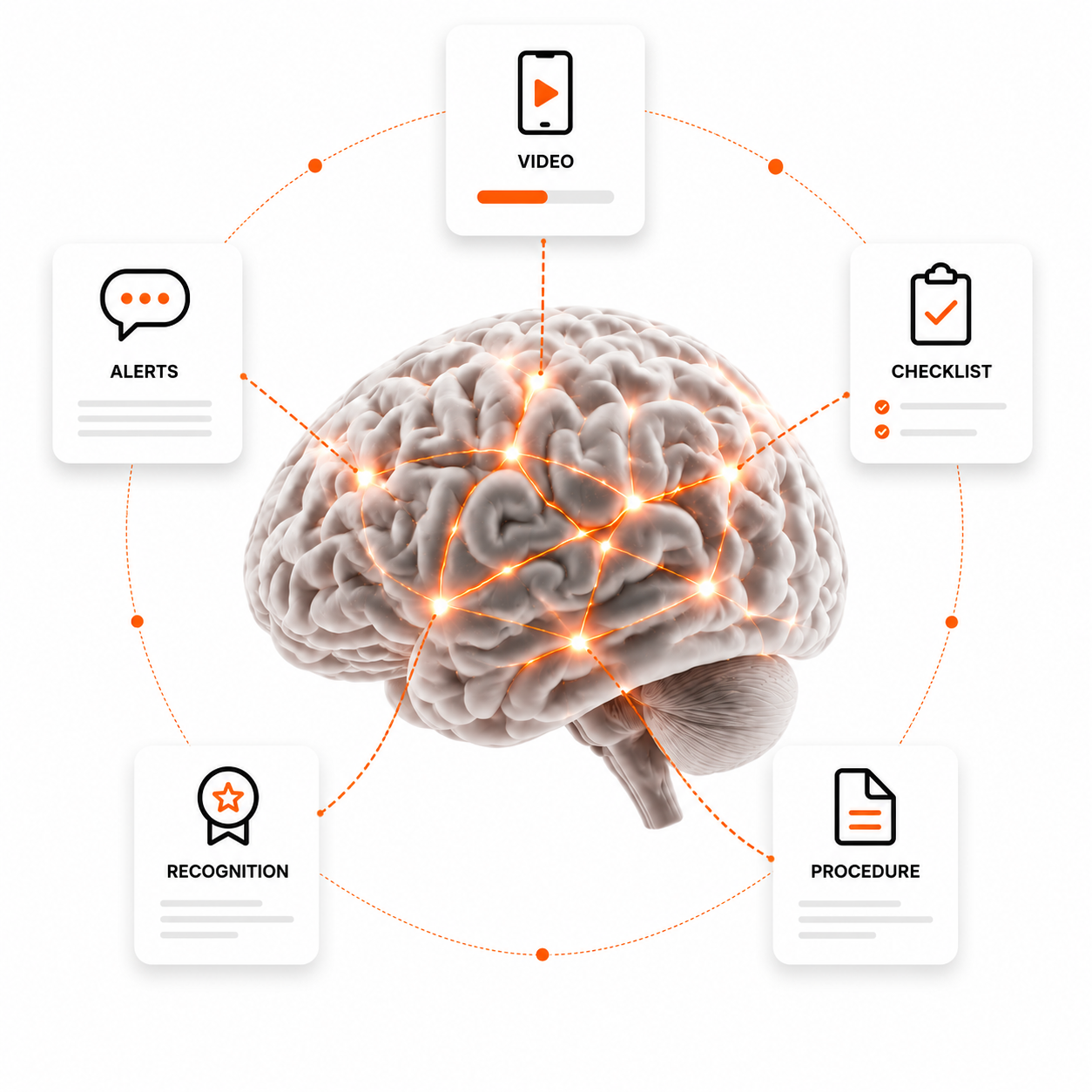 Brain illustration — the science of memory retention