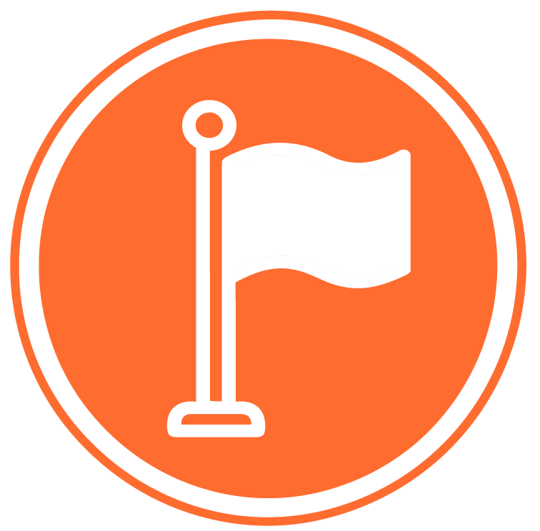 Flag icon